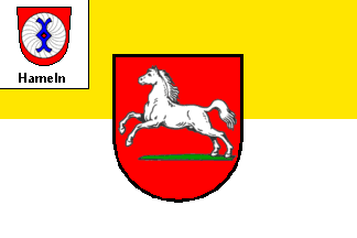 [German Party, Hameln Local Unit Flag (Germany)]